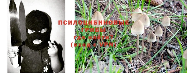 мдпв Навашино