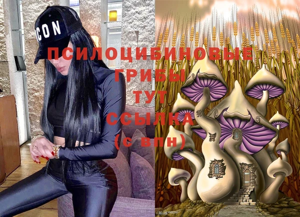 метадон Надым