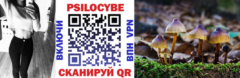 даркнет сайт  Урень  Галлюциногенные грибы Psilocybine cubensis 